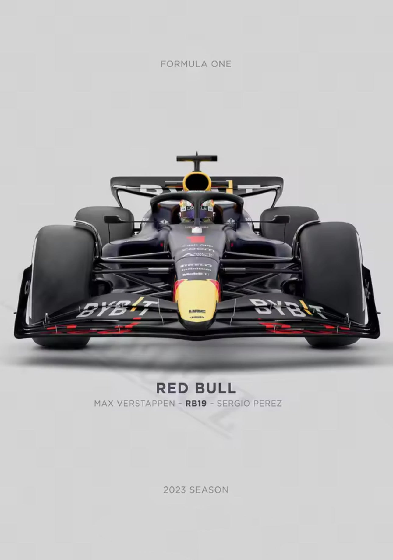 RED BULL RB19 FORMULE 1